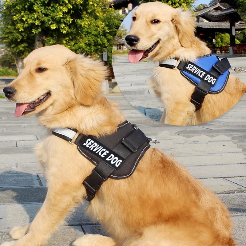 Right here, you have the greatest Custom pet harness offered at a good price post thumbnail image