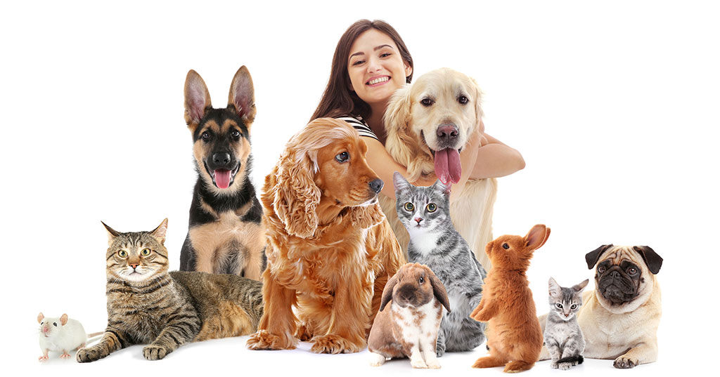 The Risks and Rewards of Franchising Your Pet Business post thumbnail image