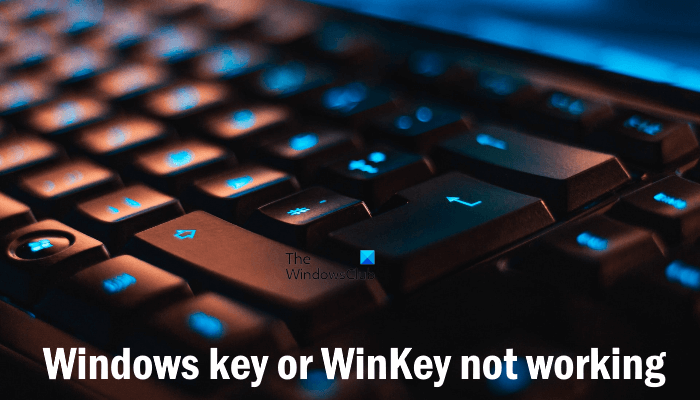 What Are The Things To Consider Before Purchasing windows 10 keys From Reddit? post thumbnail image