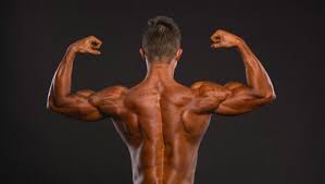 Steroid Alternatives in the UK – Legal Steroids for Muscle Building & Performance Enhancement post thumbnail image