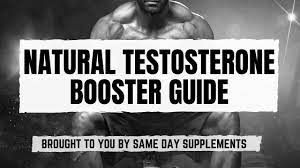Just What Does Testosterone Do for guys? post thumbnail image