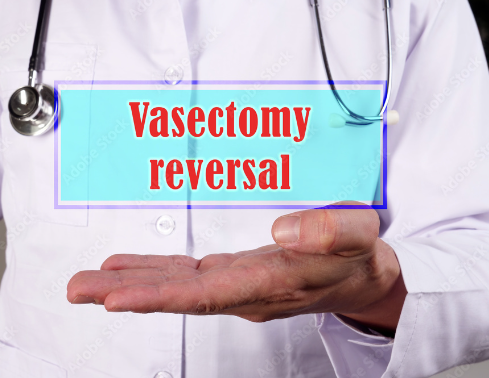 The Science Behind Vasectomy Reversal Success post thumbnail image