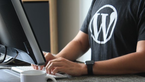 Creating Your Subscriber Base just like a WordPress Consultant post thumbnail image