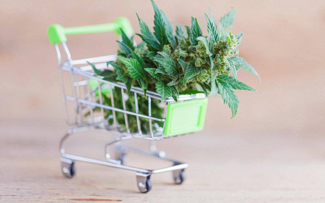 Canada’s Green Frontier: Where to Buy Weed Online post thumbnail image