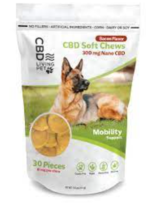 CBD Gummies for Canine Serenity: The Perfect Choice post thumbnail image