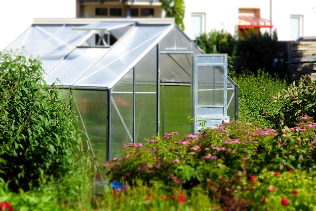 Unlocking Potential: Greenhouses for Flourishing Gardens post thumbnail image