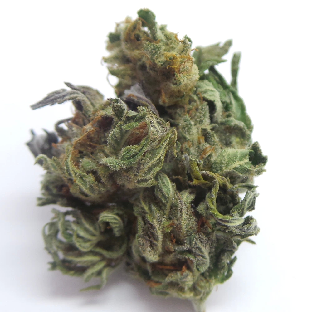 Browse, Click, Bliss: Online Dispensary Canada post thumbnail image